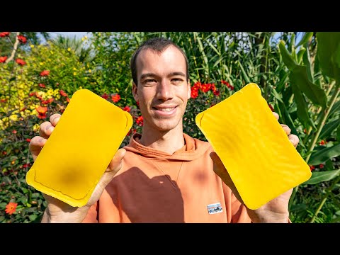 100% PURE Beeswax - How is it made? - Processing beeswax, candle dipping and soap making