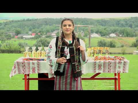 Daria Ilișescu - Inimă la cât iubești (cântec din repertoriul interpretei Laura Erhan)