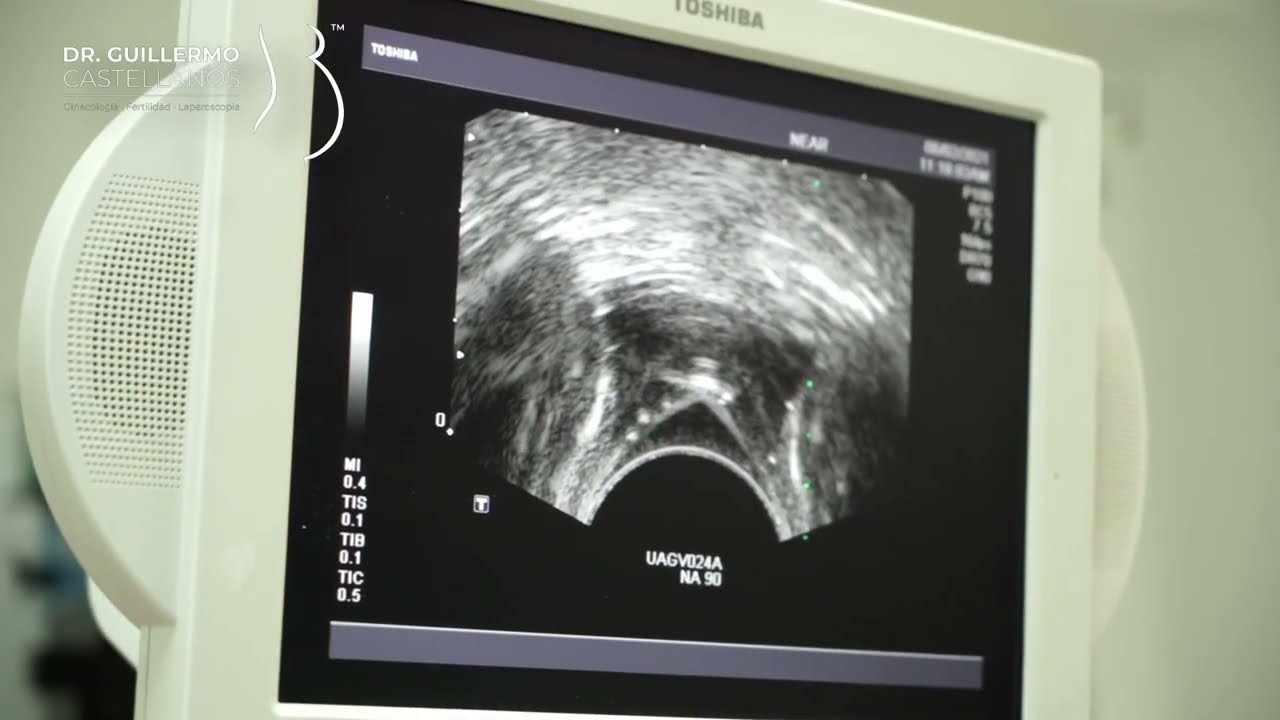 Guillermo Castellanos Barroso-8