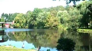 preview picture of video 'Coopers Pond, Bergenfield NJ'