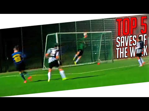 TOP 5 - Best Goalkeeper Saves I WEEK #33 2015