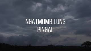 Download lagu Ngatmombilung - Pingal (Lirik) mp3