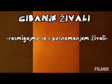 Gibanje s posnemanjem živali