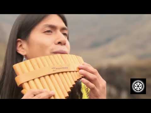 Max Hebert - 50 Miles High (Ed The Spread Remix) - Frosted Recordings - Promo Clip