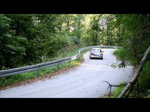 Borko Simovic / Marjan Nikolic - 2. Rally Djerdap 2019 - Peugeot 1.3 rallye A