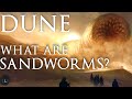 Sandworms The Gods Of Dune Explained Dune Lore