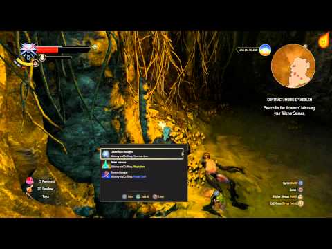 The Witcher 3: Contract: Muire D'Yaeblen - Quest Walkthrough