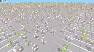 綿花が生えて枯れるまで