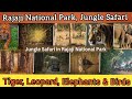 Rajaji National Park Rajaji National Park Safari Booking Rajaji National Park Ticket Price