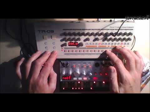 TR-09 & Volca Bass playing chords in a Classic House jam #909day