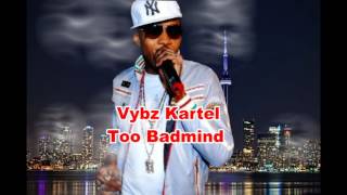 VYBZ KARTEL-TOO BADMIND