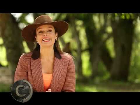 Rumo ao Bocal de Ouro 2016