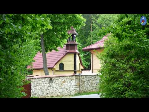 Pustelnia 27.04.2021 - Kazanie o. Daniela (J 10, 22-30)