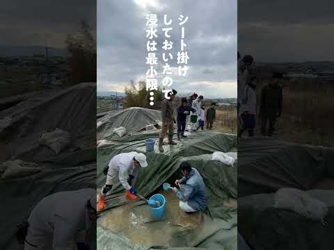 言語文化学科 【奈良大学】学外での実習も重視 / 発掘現場で雨が降ったらどうするの？ #奈良大学 #奈良 #shorts