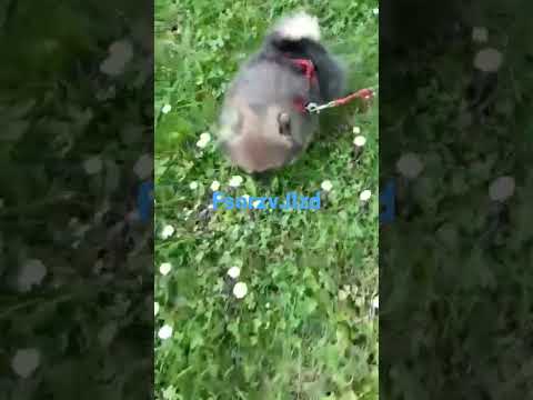 24 август 2022 г.