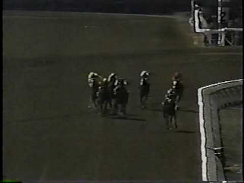 Landaluce - 1982 Maiden Special Weight + Extra Camera Angles