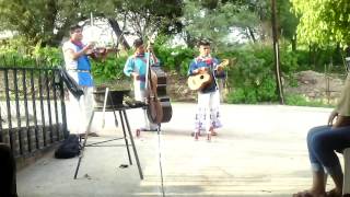 La Feria De Las Flores