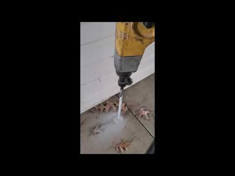 Tough Termite Treatment in Freehold, NJ