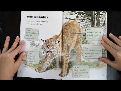 [Read book] Looking at Wild Cats