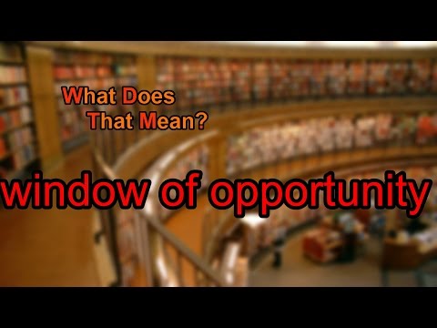 What does window of opportunity mean?