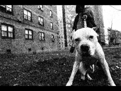 Oc.OnCrack & King.Scorpioni  - Gangsta Gangsta