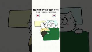 謝罪して!!! #日韓夫婦 #한일부부 #shorts