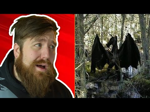 What They're Not Telling You About The Pine Barrens (Jersey Devil Sightings)