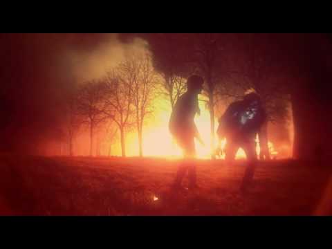 DEN SVENSKA BJÖRNSTAMMEN - Dansmusik