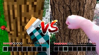 MINECRAFT vs VIDA REAL - ( Minecraft vs Real Life )