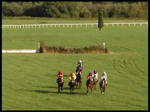 NE, 21. 8. 2016, 9. dostih - CENA ZOD NĚMČICE