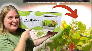 Letpot Hydroponic Growing System | Easy And Hassle-free Set Up