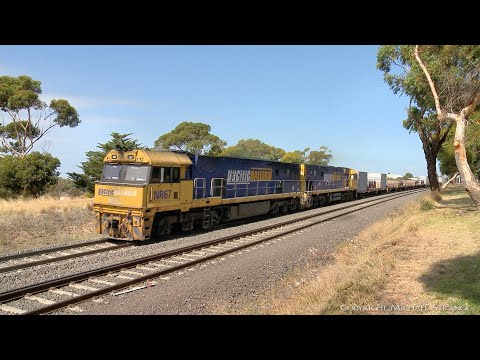 5MP2 Steel Wagons & Shipping Containers (24/2/2022) - PoathTV Australian Trains & Railways