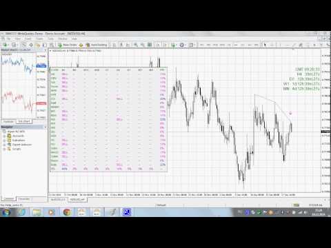 Video Bears CD HTB Global