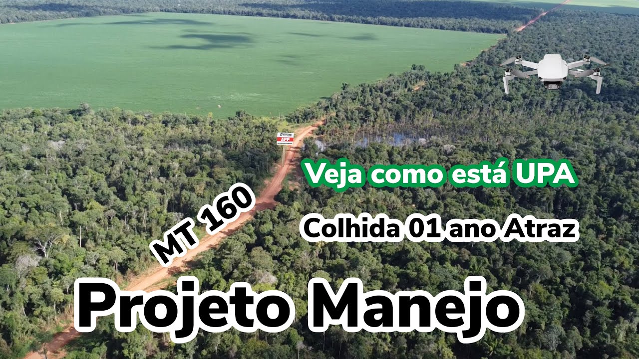 Como Fica a Floresta após a colheita da Madeira, Manejo Florestal, Veja,,,