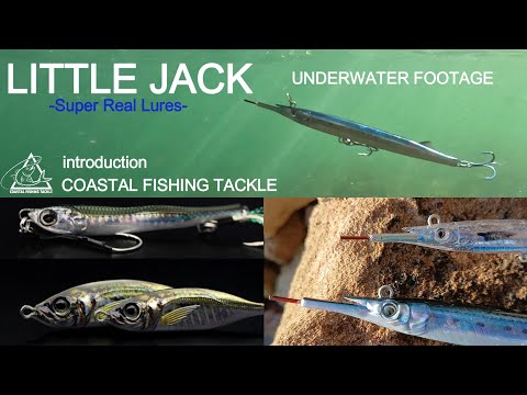 REAL LURES Look ALIVE!【LITTLE JACK】Underwater Footage & Introduction  COASTRAL FISHING TACKLE SHOP