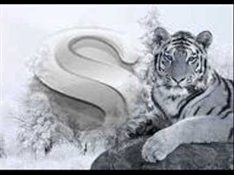 JoaquinSaulino’s Video 9116779453 YB231PzZW4k