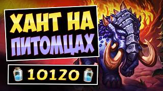 🐘Вырвался в ЛИДЕРЫ?! Охотник на питомцах после изменений — Companion Hunter | Hearthstone
