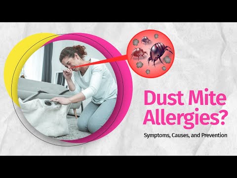Natural Remedies for Dust Mites Allergy - Causes and Symptoms | Complete Guidance