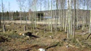 preview picture of video 'Kalhygge Storfors Vargskogen 01 - Panorama nedre mittdelen mot Badsta camping och hus i norr.AVI'