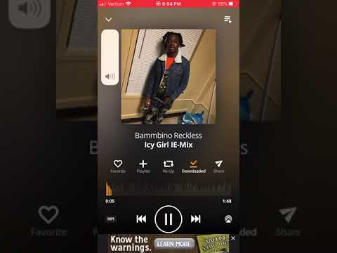 Icy girl IE-mix Bammbino Reckless