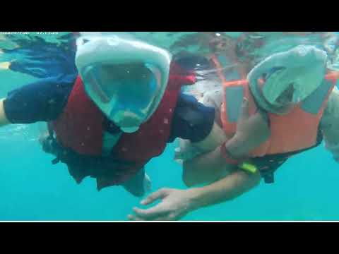 DEEP SEA SNORKELING . ELEPHANTA BEACH. HAVELOCK ISLAND. ANDAMAN ISLAND