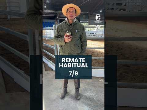 Remate habitual 7/9/2026.
