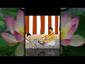 Divine Stories Muruga Nayanar