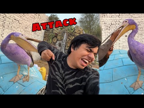 Waleed Pr is Bird Ny Attack Kr Dea 😰 Mamu First interview 😅