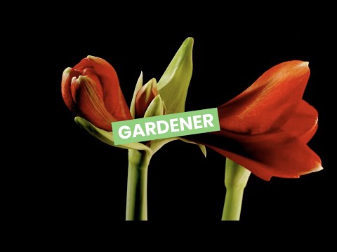 Gardener video 3