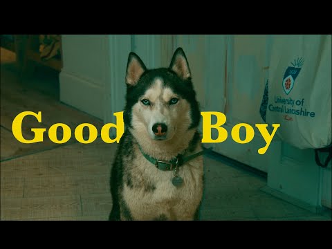 Good Boy - One Minute Short Film