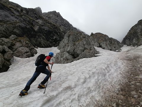 Valea Bucșoiului