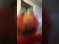 Elmo Doll