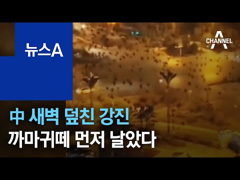 아이콘