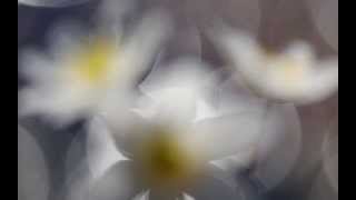 Overtone, Åsne Valland Nordli og Benedicte Maurseth, ECM Records